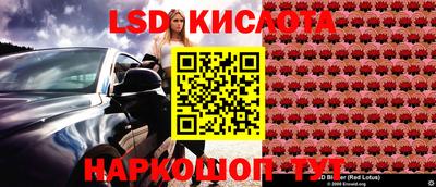 сатива Краснодар