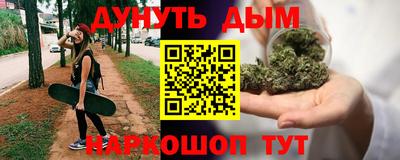 сатива Краснодар