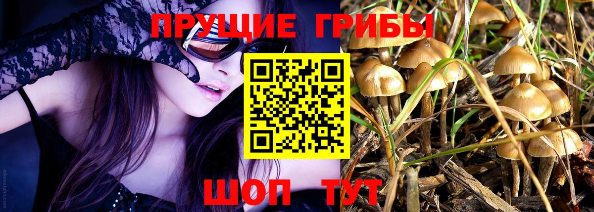 Псилоцибиновые грибы Cubensis  Вход с VPN  Скопин 